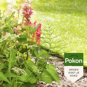 Pokon HardnekOnkruid Conc 100ml - afbeelding 3