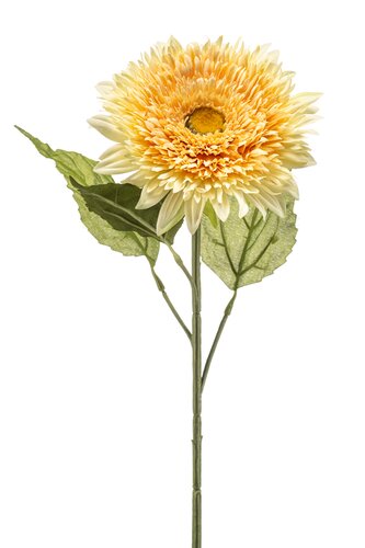 Helianthus Tak Zijde - 65cm Geel