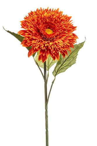 Helianthus Tak Zijde - 65cm Oranje