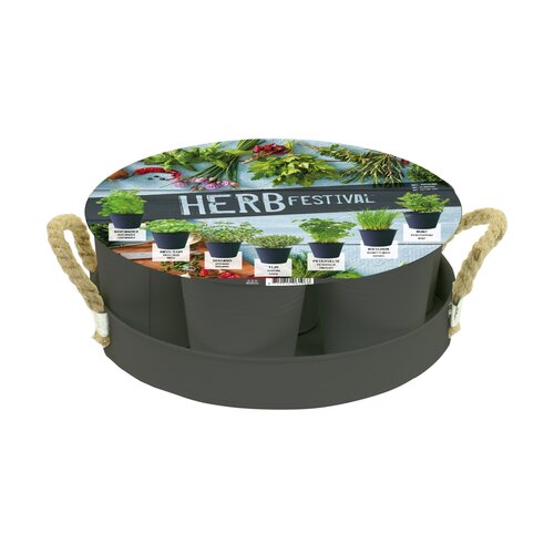 Herb Festival - 7 (Grijs)