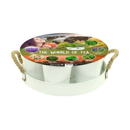 Herb Festival - 7 World of Tea (Wit)