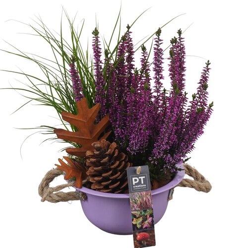 Herfst arrangement, in 28cm-schaal