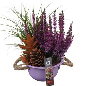 Herfst arrangement - 28cm-schaal