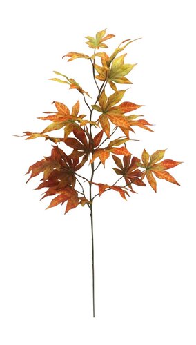 Herfsttak H 74 cm