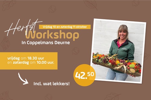 Herfstworkshop Deurne