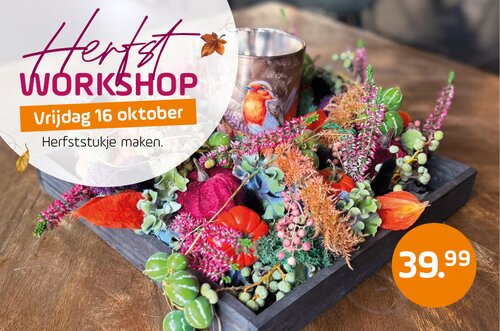 Herfstworkshop Oirschot