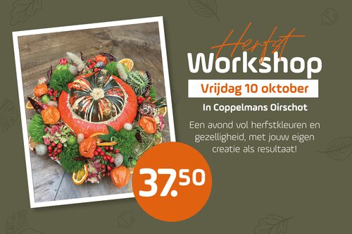 Herfstworkshop Oirschot