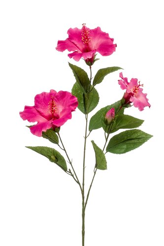 Hibiscus spray x3 beauty 82cm