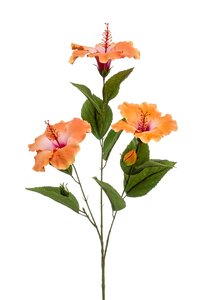 Hibiscus spray x3 lt orange 82cm