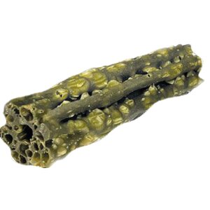 Honden Tandenpoetser Sticks Munt & Peterselie Small - afbeelding 2