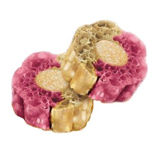 Honden Vitamine Bites Bosbes & Biet - afbeelding 2