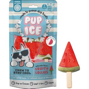 Hondenijsje Fruit Lollie Watermeloen