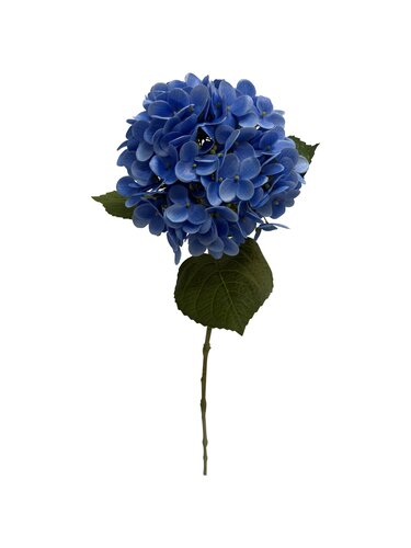 Hortensia 60 cm Blauw