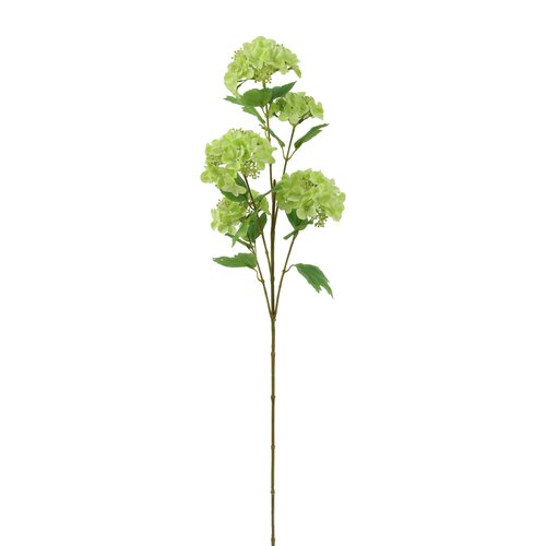 Hortensia Groen 95 cm