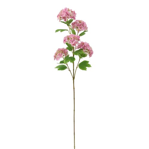 Hortensia Lichtroze 95 cm