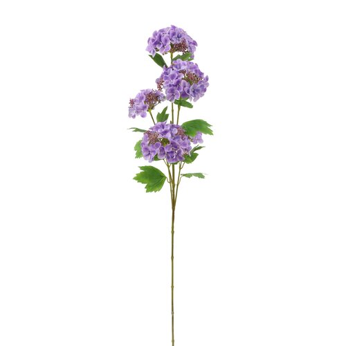 Hortensia Paars 95 cm
