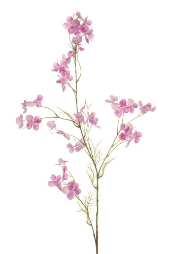 Hortensia Tak Zijde - 105cm Roze