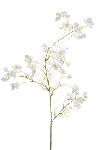 Hortensia Tak Zijde - 105cm Wit