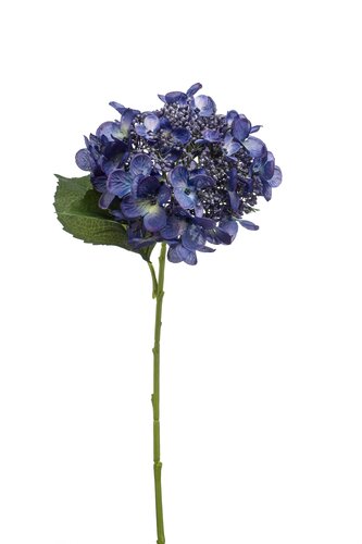 Hortensia Tak Zijde - 50cm Donkerblauw