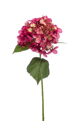 Hortensia Tak Zijde - 50cm Fuchsia