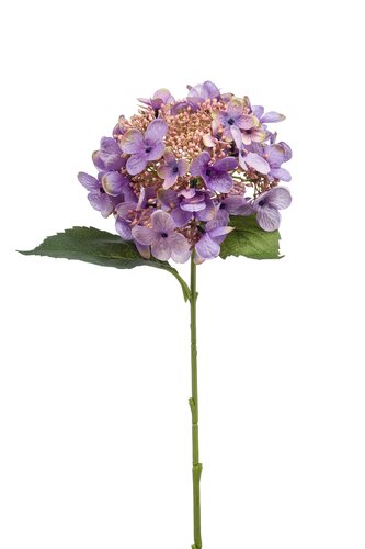 Hortensia Tak Zijde - 50cm Paars