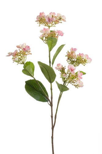 Hortensia Tak Zijde - 75cm Roze