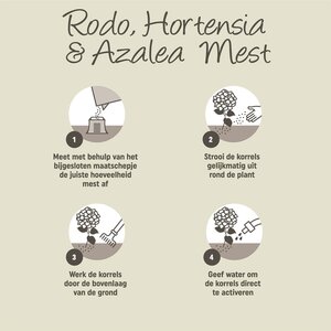 Hortensiamest 1kg - afbeelding 3
