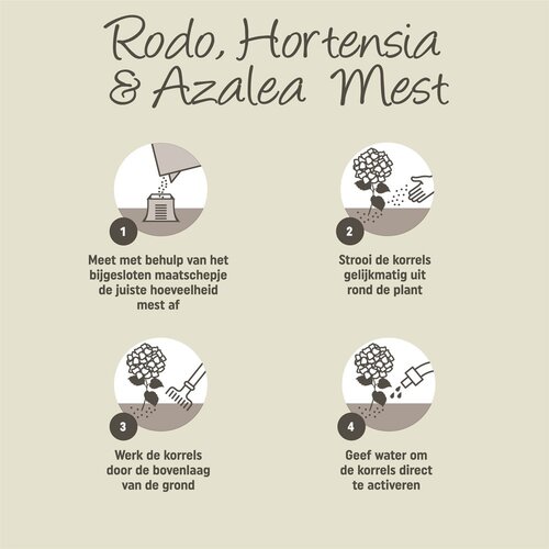 Hortensiamest 2.5kg - afbeelding 4