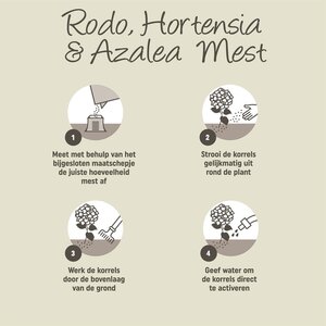 Hortensiamest 2.5kg - afbeelding 4