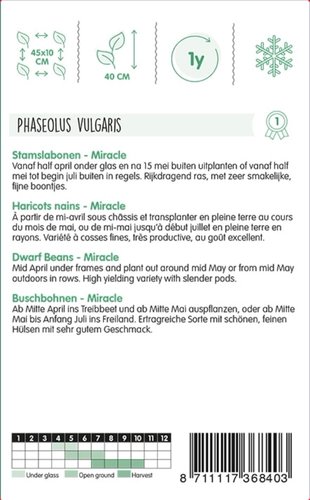 Horti Tops Chinese Boontjes Miracle, 250g - afbeelding 2