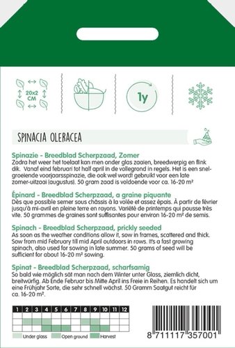 Horti Tops Spinazie Breedblad Scherpzaad zomer, 50g - afbeelding 2