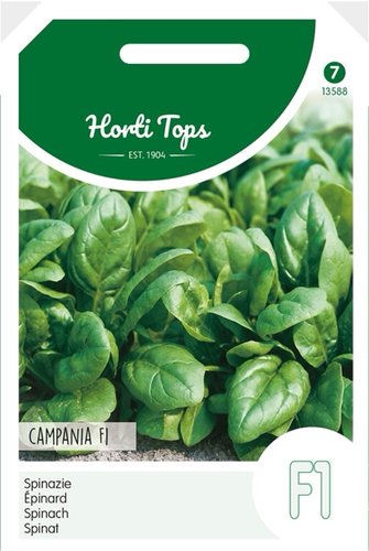 Horti Tops Spinazie Campania F1, 50g - afbeelding 1