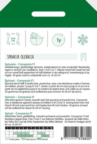 Horti Tops Spinazie Campania F1, 50g - afbeelding 2