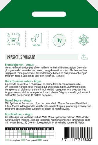Horti Tops Stamslabonen Haricot Vert Argus, 50g - afbeelding 2
