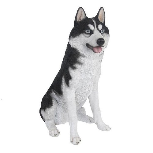 Husky
