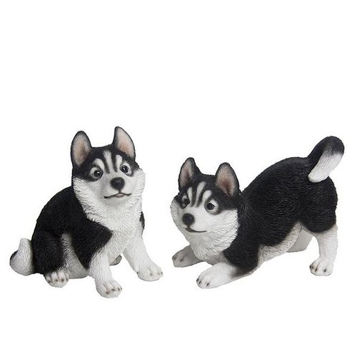Husky pup ass.