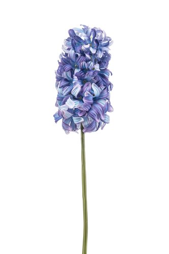Hyacinthus Tak Zijde - 48cm Lila
