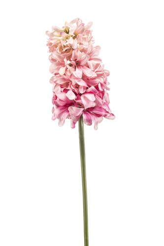 Hyacinthus Tak Zijde - 48cm Roze