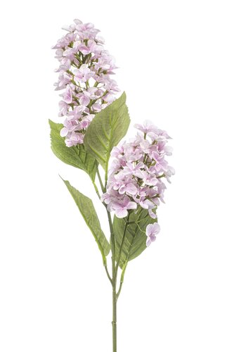 Hydrangea paniculata spray x2 lt pink 76cm