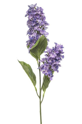 Hydrangea paniculata spray x2 purple 76cm