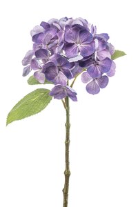 Hydrangea spray purple 47cm