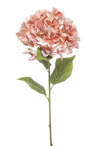 Hydrangea XL spray peach 90cm