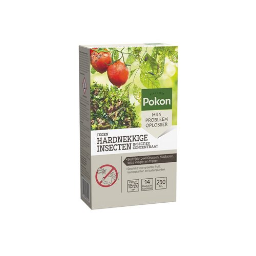 Insect Hardnek Conc 250ml