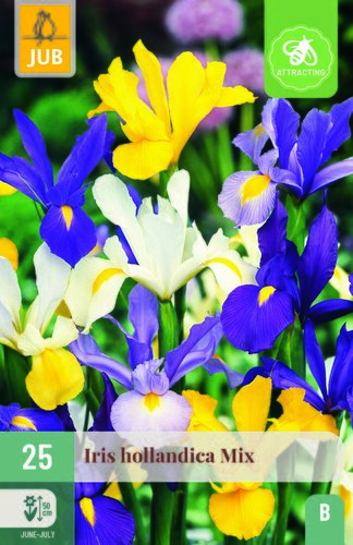 Iris hollandica mix 25st