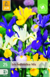 Iris hollandica mix 25st