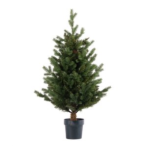 Evergreen Janga Kerstboom in pot Groen - H 100 x D 58 cm