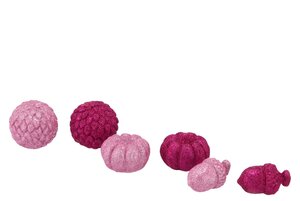 Jingle Fuchsia/Pink Pumpkin Ass - afbeelding 1