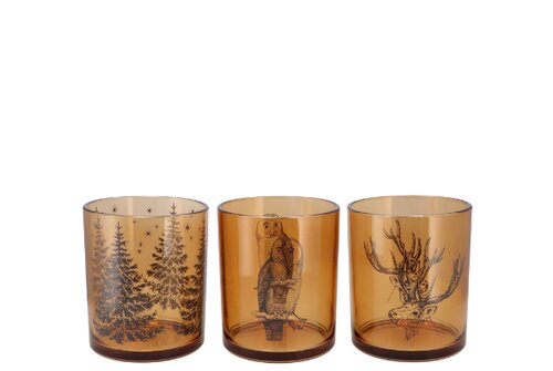 Jolly Transparent Brown T-Lights Ass 9 x 10 cm - afbeelding 1