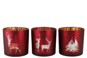 Jolly Transparent Red/Gold T-Lights Ass 15 x 15 cm - afbeelding 1