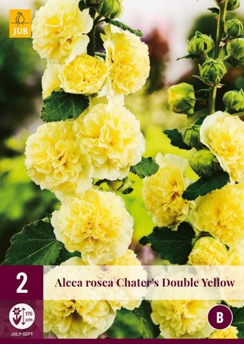 JUB Holland Alcea Rosea Chater's Double Yellow